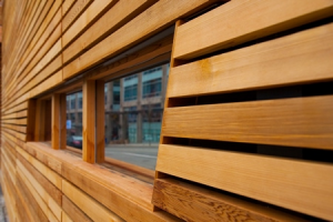 Canadian Wood Cladding image