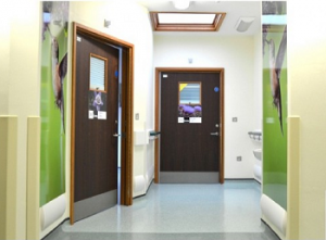 Hospital Doors