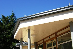 Dales Rainwater Systems