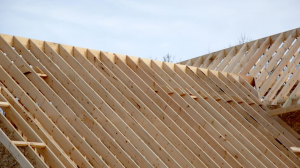 Roof Insulation